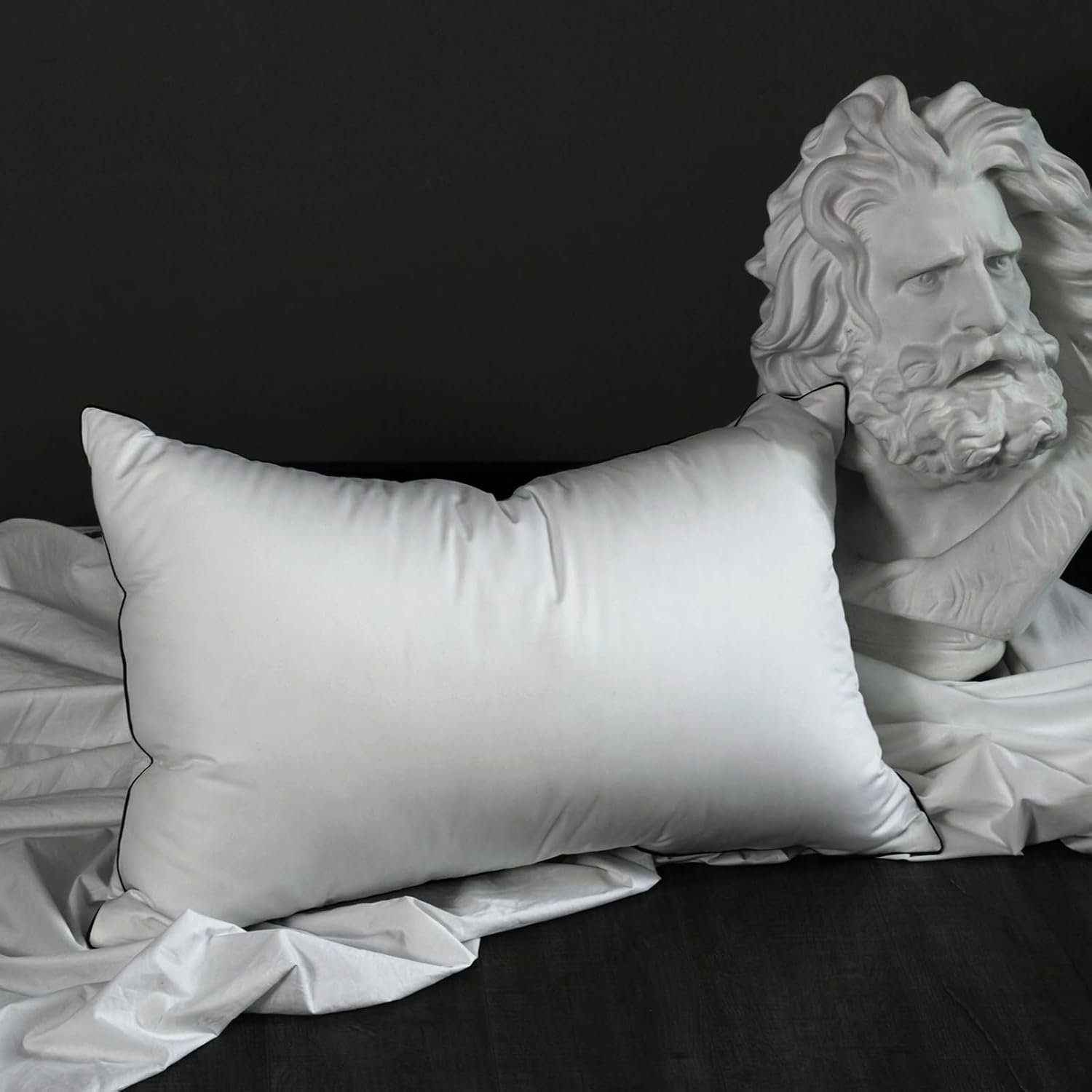 Premium White Down Fiber Pillows Queen Size - High Fill Power Down Fiber Pillow - Hotel Bed Pillows for Back,Side,Stomach Sleepers (2 Pack,20" x 28")