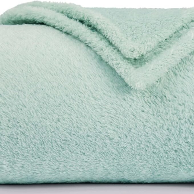 Plush Fleece Throw Blanket for Couch and Bed, Fluffy Fuzzy Cozy Soft Blankets All Season Use (50x60 Inches,Aqua)